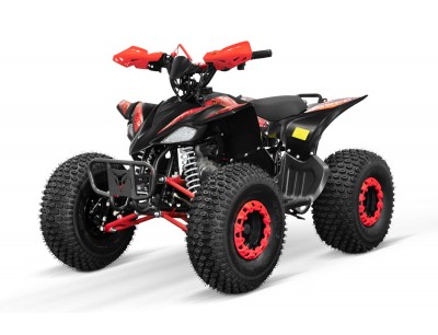 Petrol online quad bike